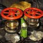 A Pair of Valves