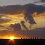 Sunset Dinasour