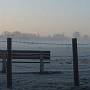 A misty walk