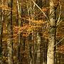 _MG_3030 640