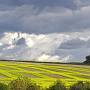 Agricultural Squares
