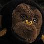 Monkey Business