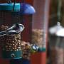 _MG_4317-640