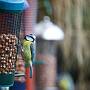 _MG_4361-640