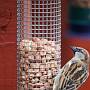 _MG_4403-640