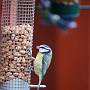 _MG_4418-640
