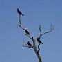 _MG_5622-640