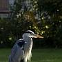 _MG_5634-640
