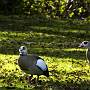 _MG_5648-640