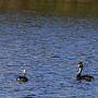 _MG_7475-640