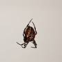 _MG_9258-Edit