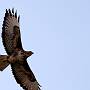 _MG_9570-Edit